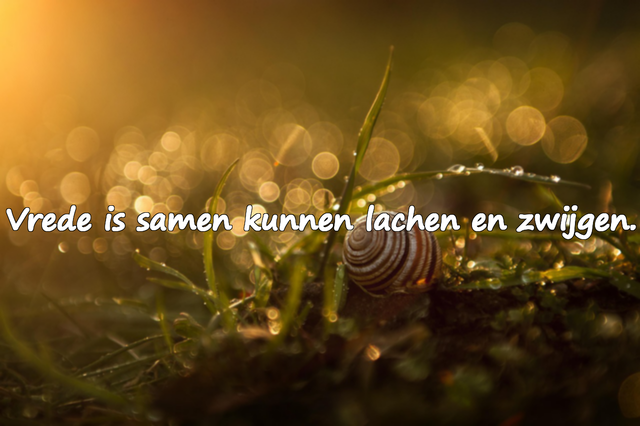 Woorden Over Vrede voor Families