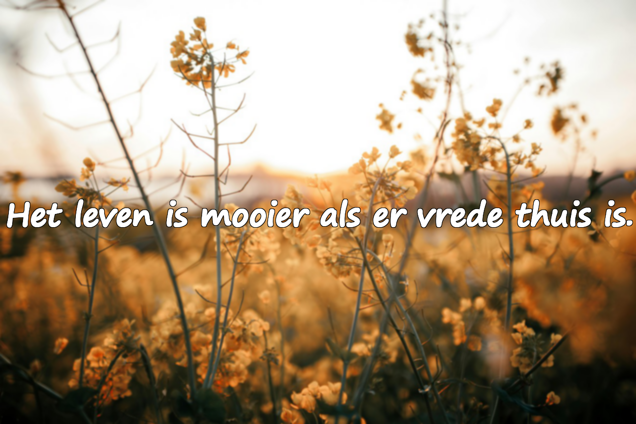 Woorden Over Vrede voor Families