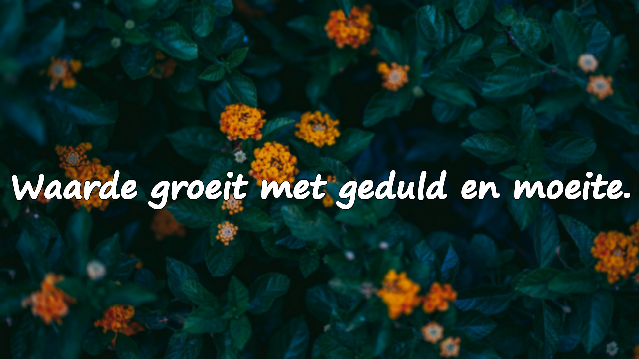 Woorden over Waarde