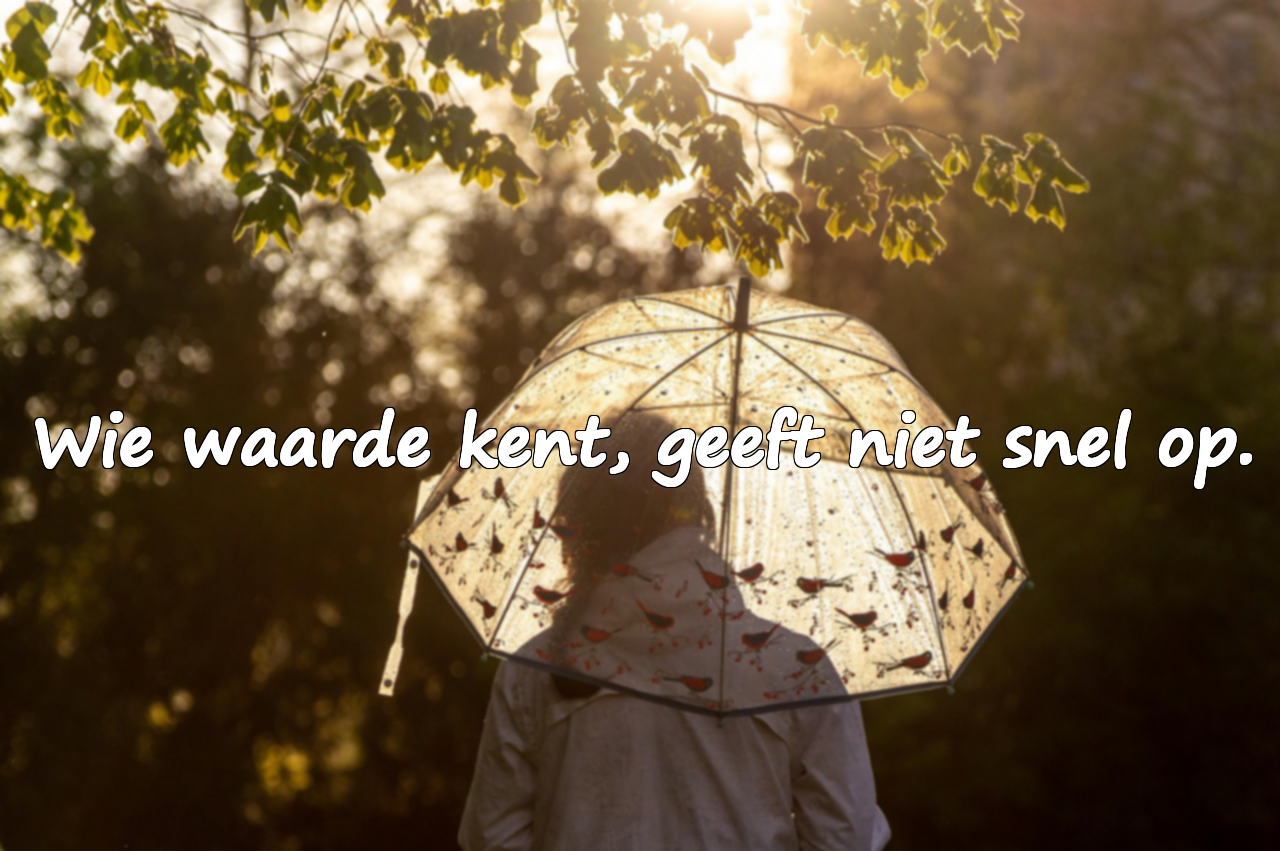 Woorden over Waarde
