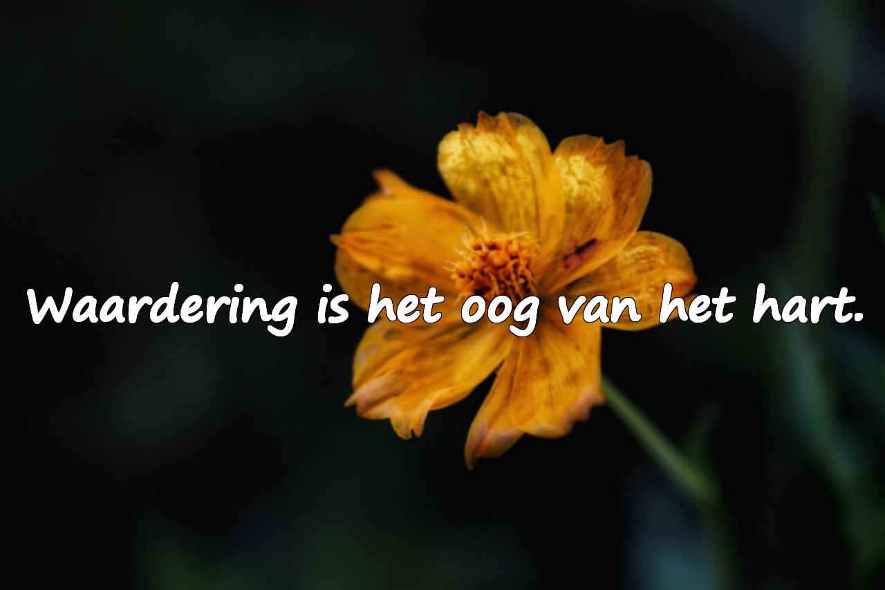 Woorden over Waardering