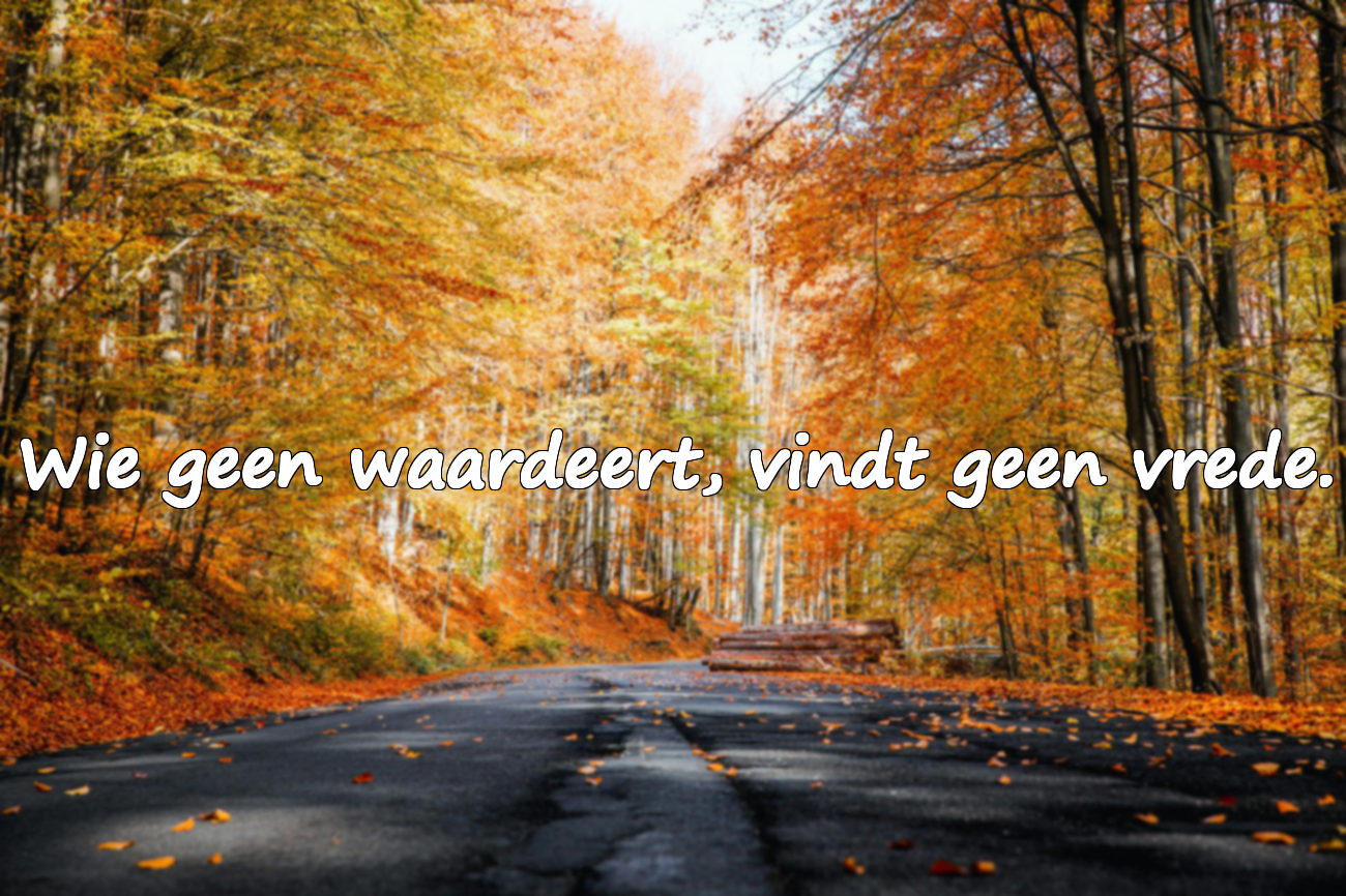 Woorden over Waardering