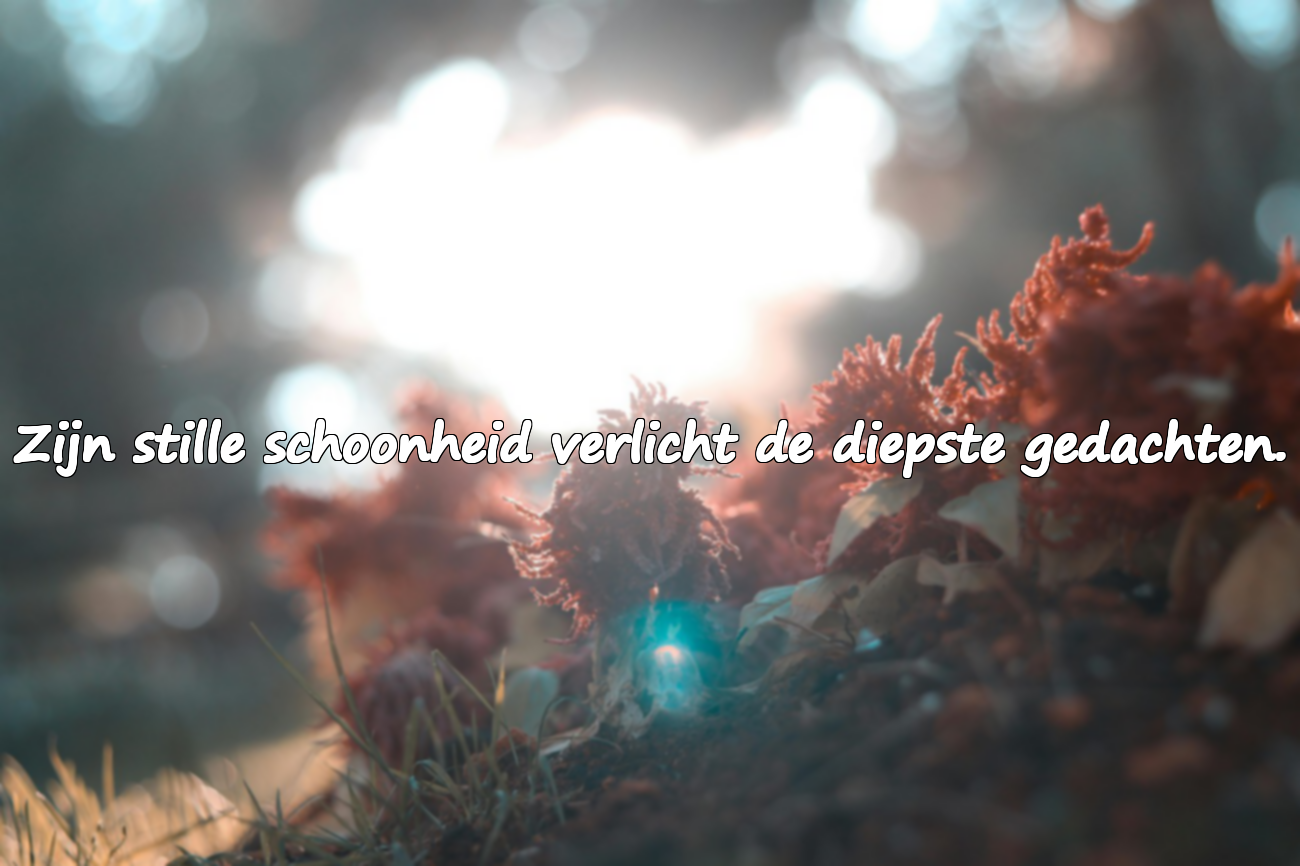 Woorden over de maansikkel