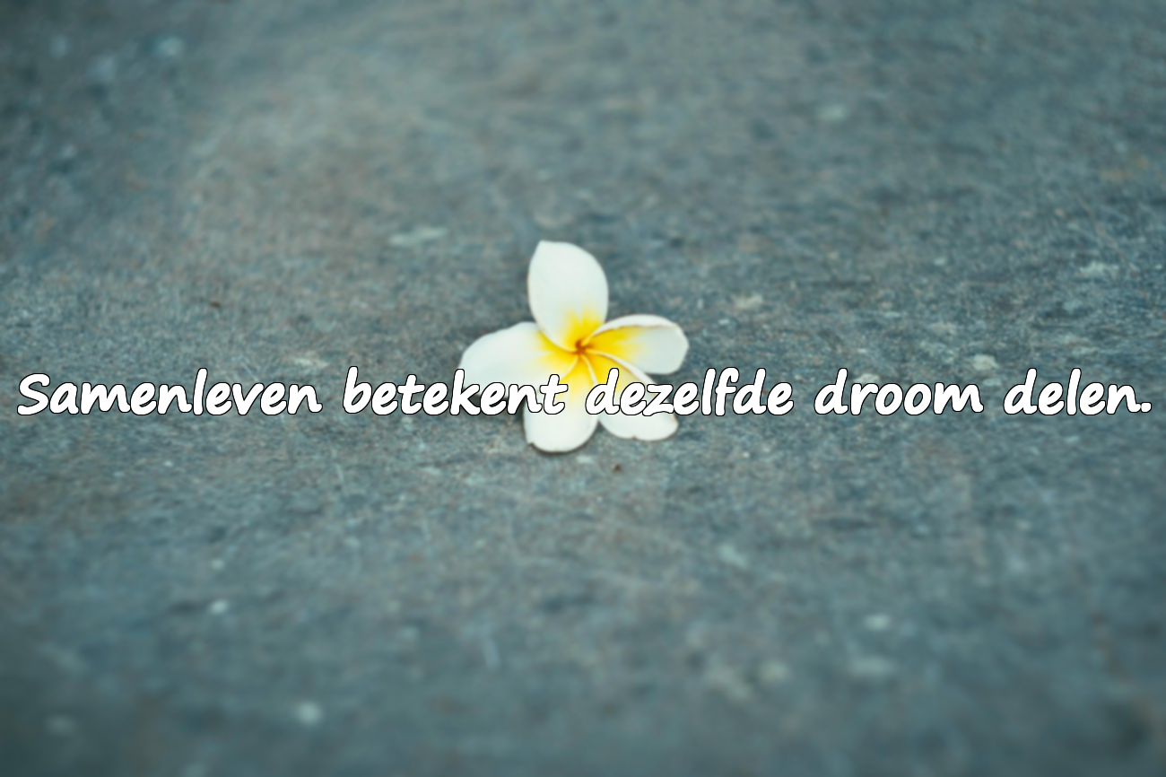 Woorden over het huwelijk