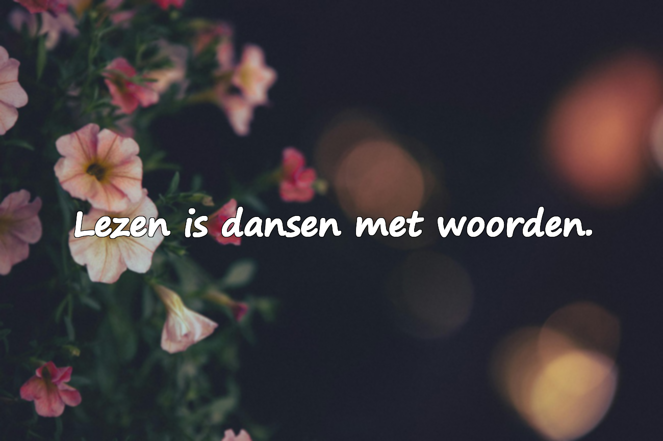 Woorden over het lezen van boeken