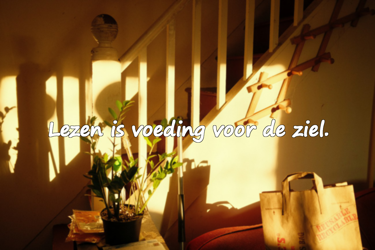 Woorden over het lezen van boeken