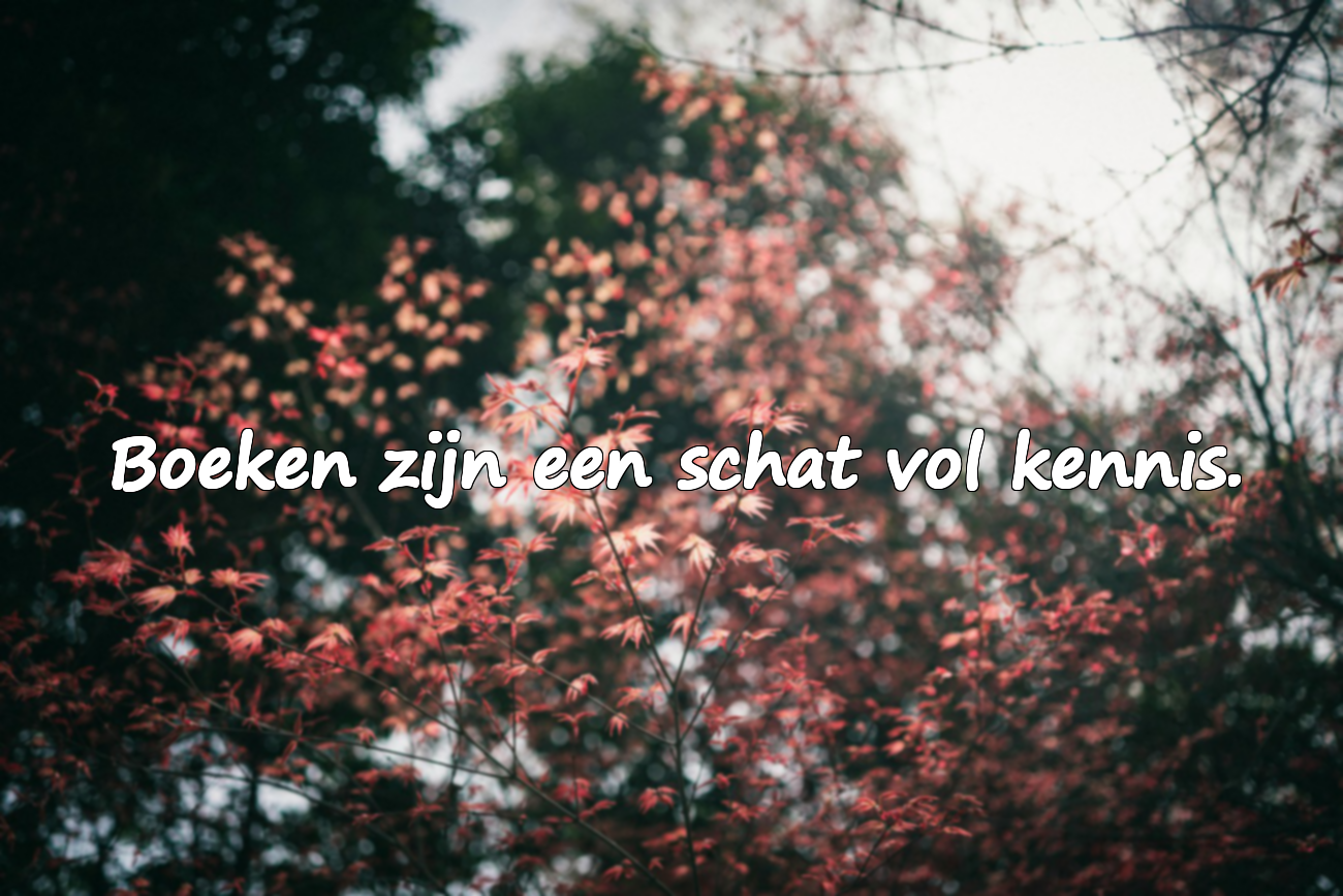 Woorden over het lezen van boeken