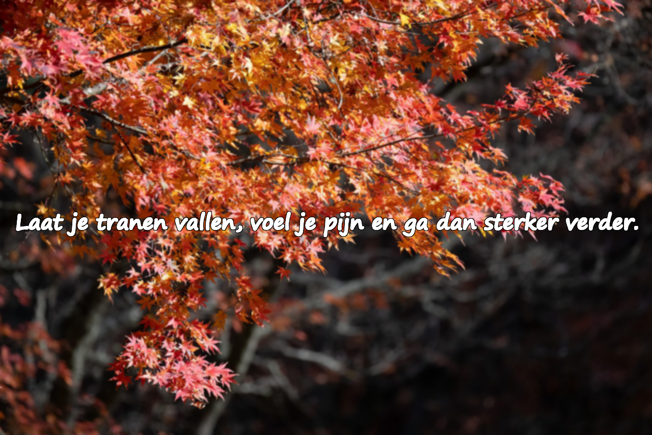 Woorden over huilen en kracht