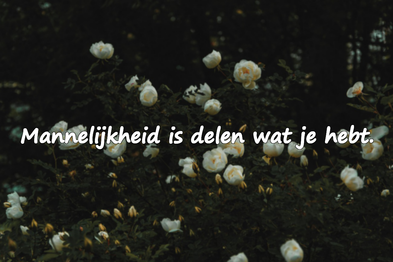 Woorden over mannelijkheid / integriteit