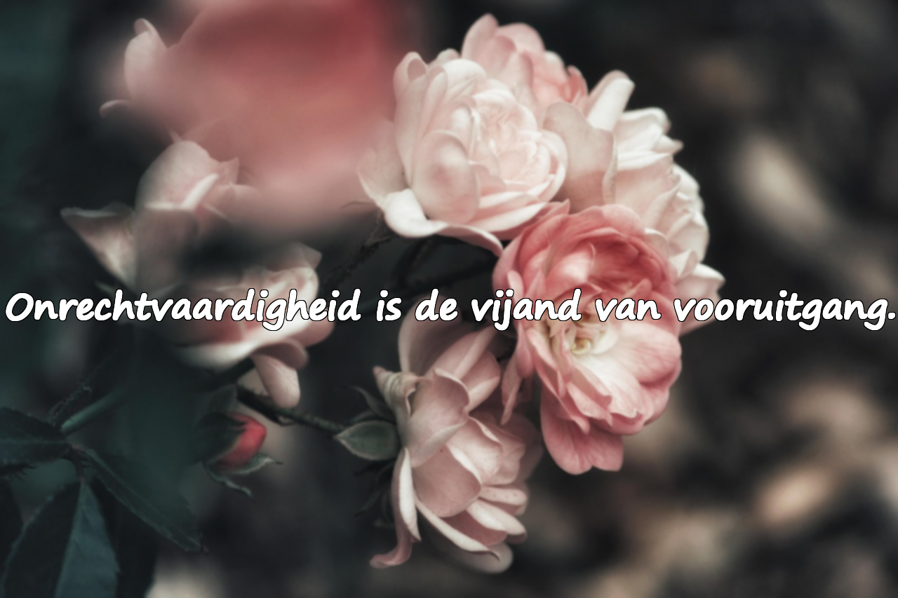 Woorden over onrechtvaardigheid