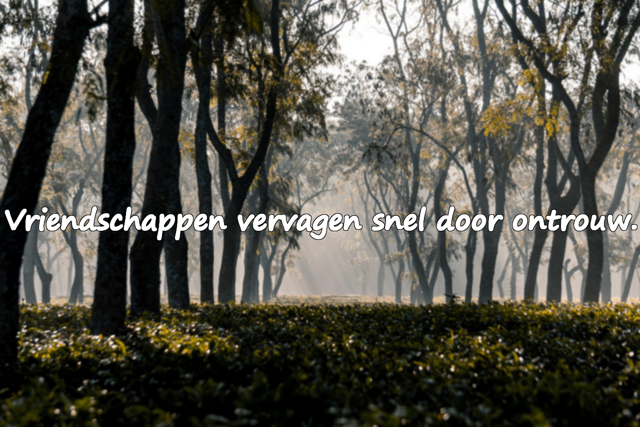 Woorden over ontrouw