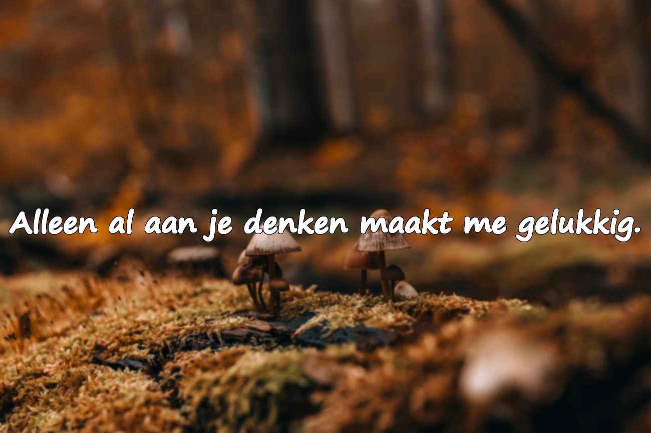 Woorden over platonische liefde