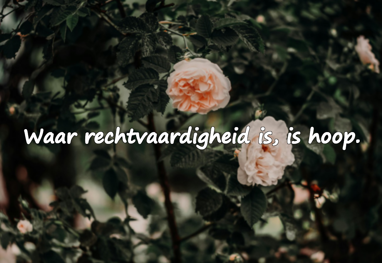 Woorden over rechtvaardigheid