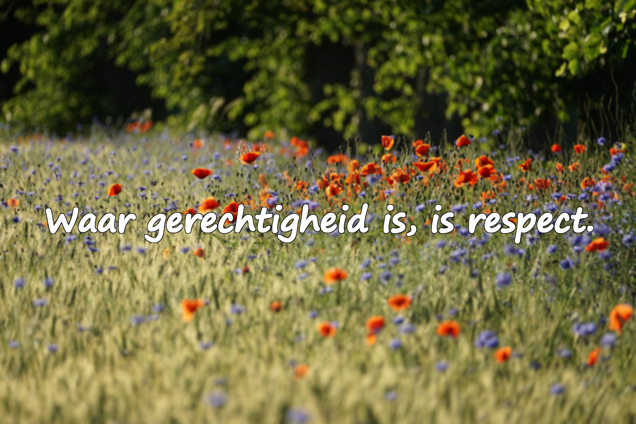 Woorden over rechtvaardigheid
