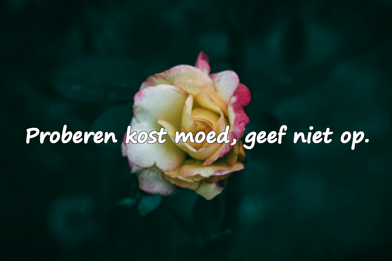 Woorden over spijt