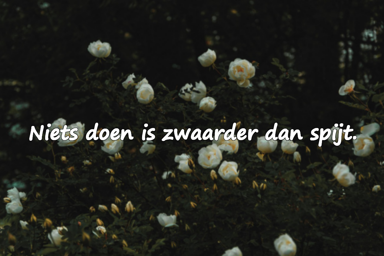 Woorden over spijt
