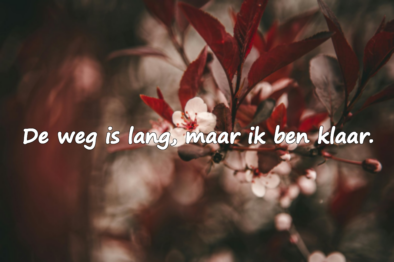Woorden over weggaan