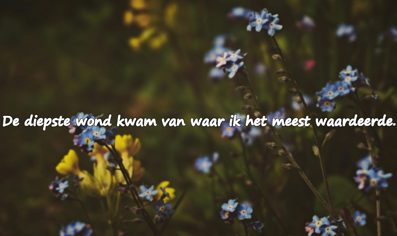 Woorden van verwijt