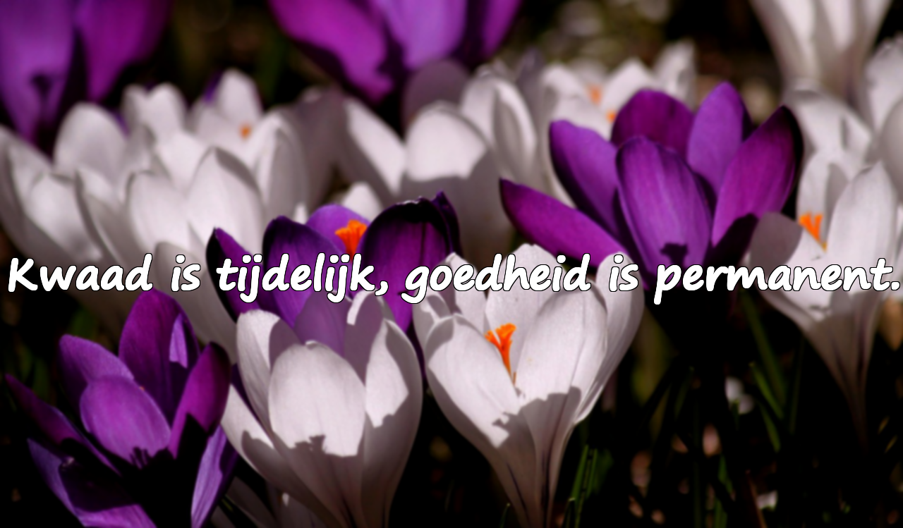 Woorden voor Slechte Mensen
