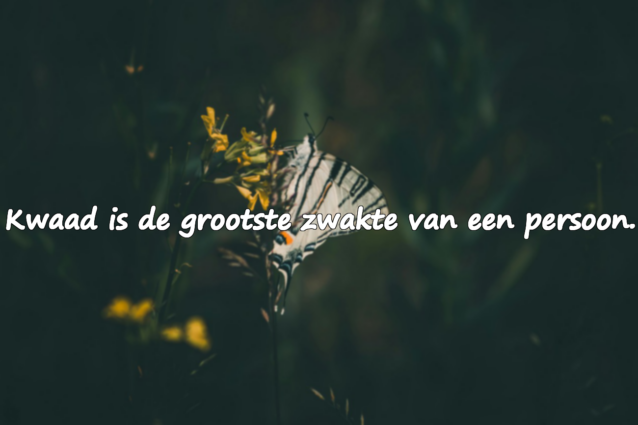 Woorden voor Slechte Mensen