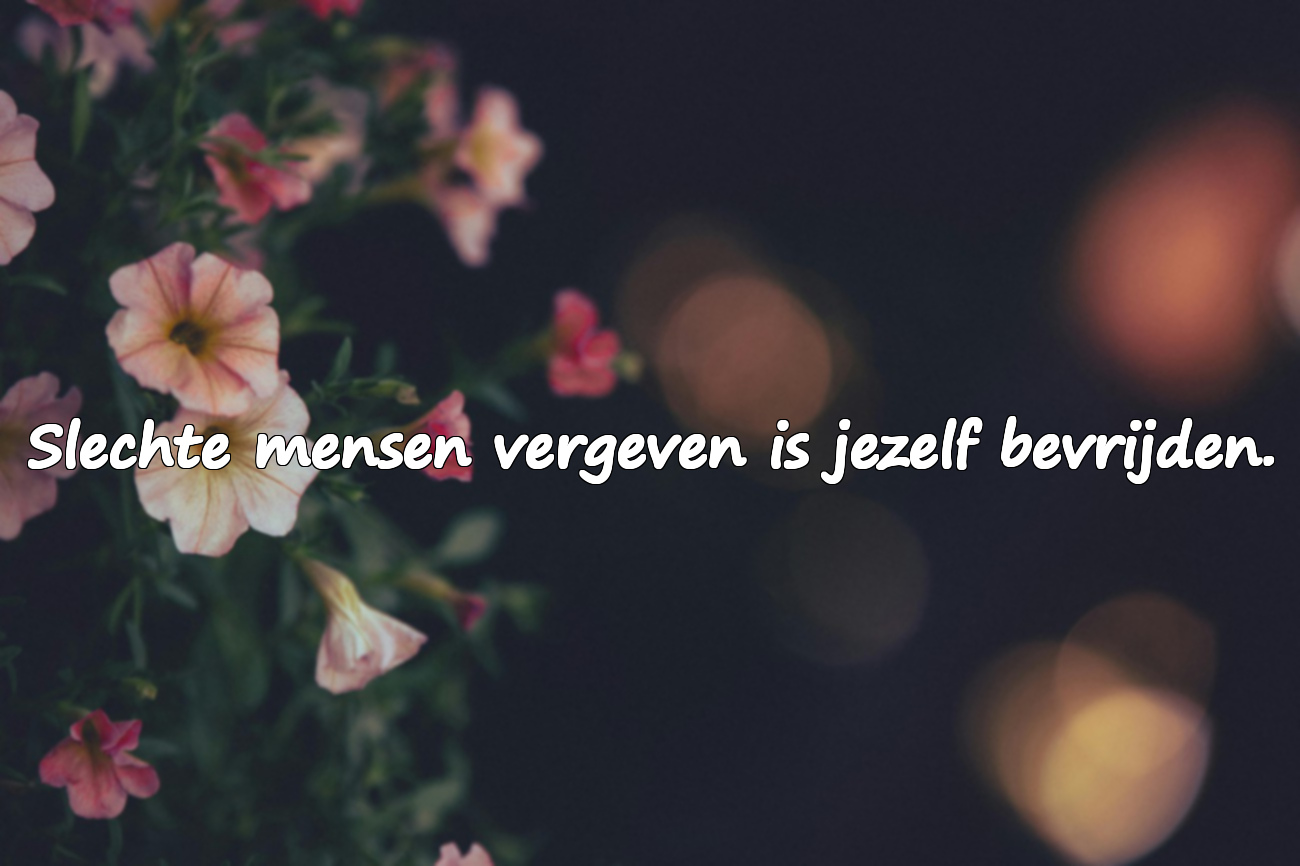 Woorden voor Slechte Mensen