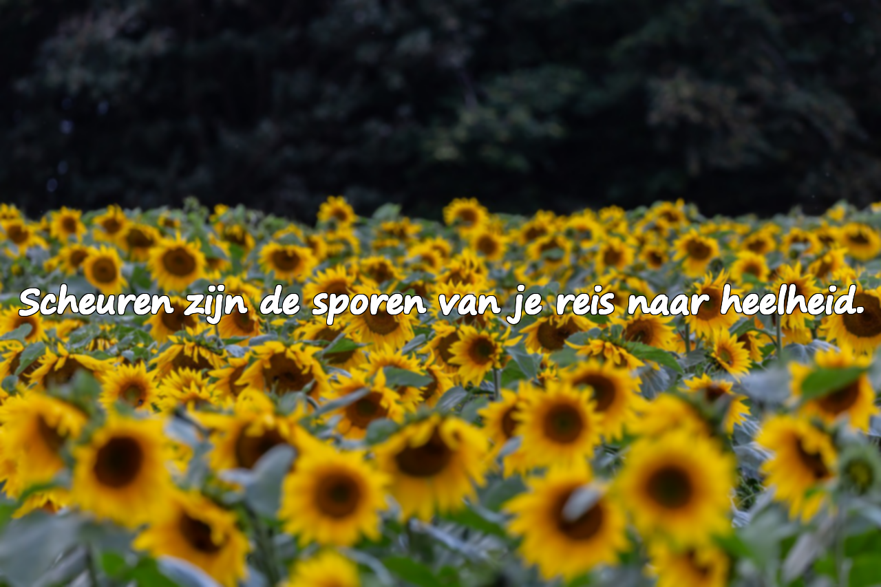 Woorden voor gebroken mensen
