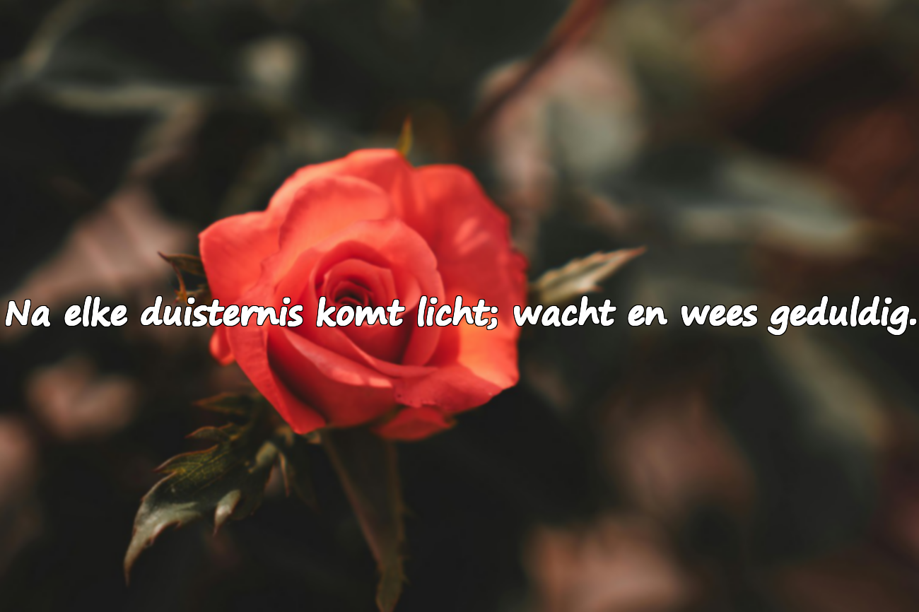 Woorden voor gebroken mensen