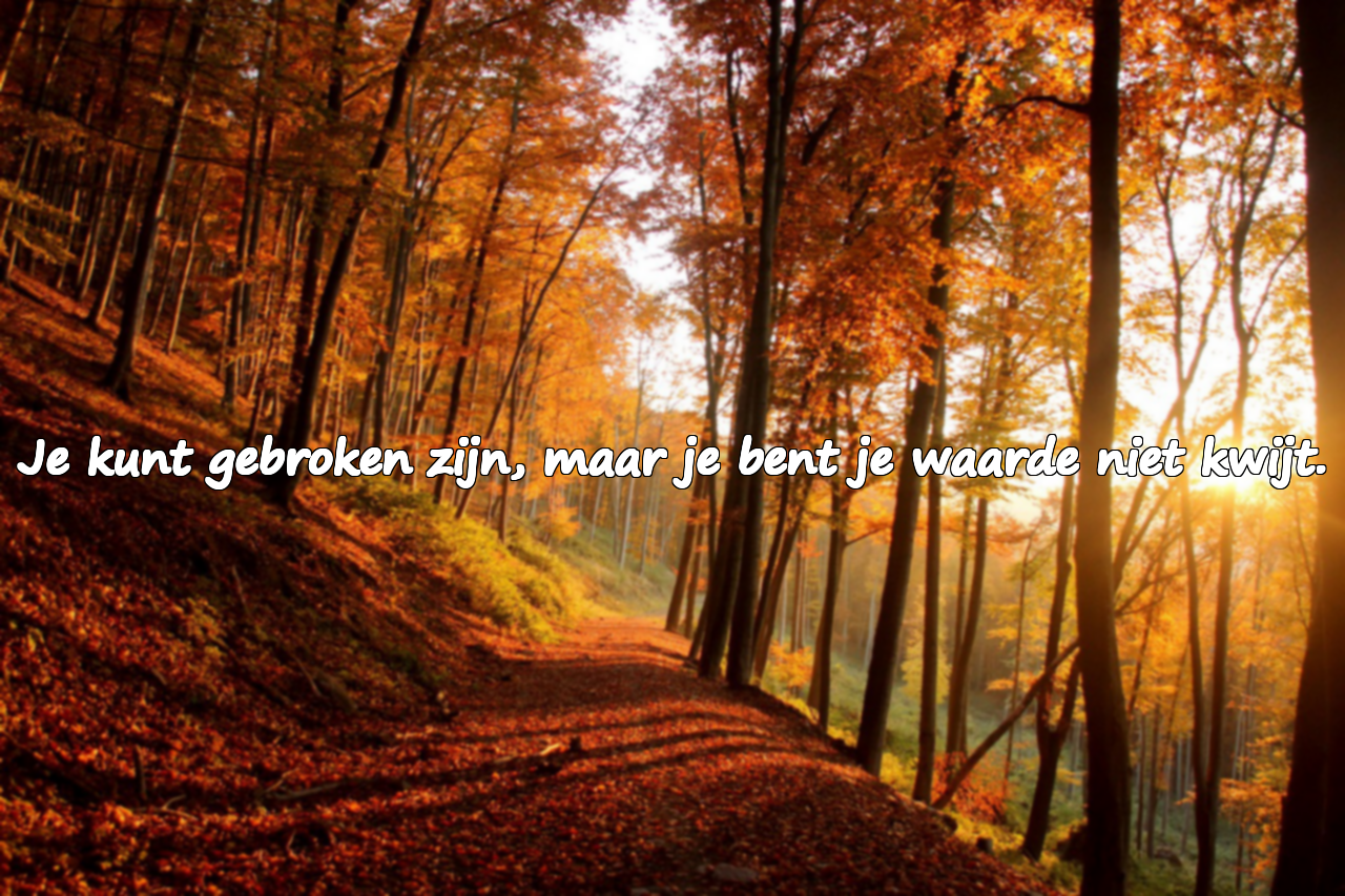 Woorden voor gebroken mensen