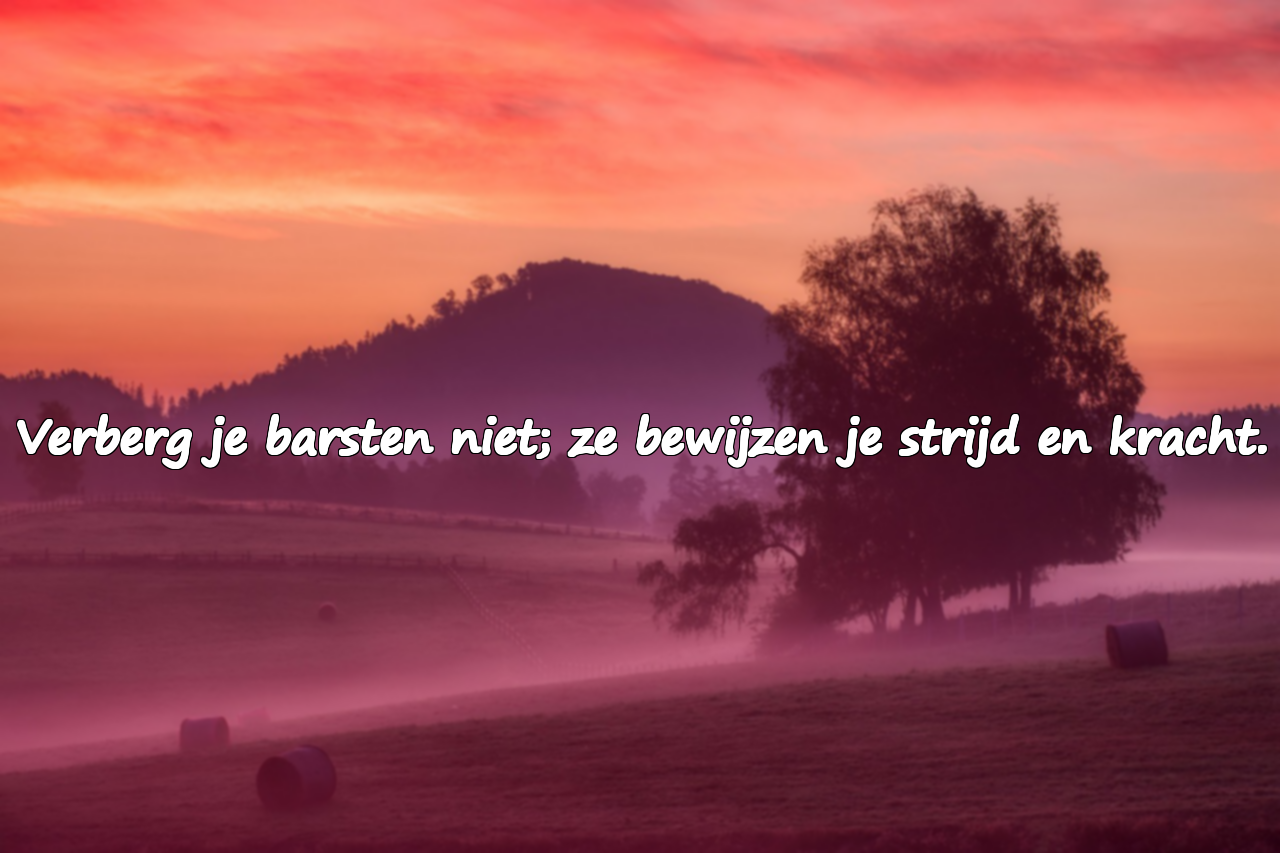 Woorden voor gebroken mensen
