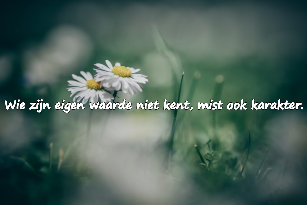 Woorden voor karakterloze mensen