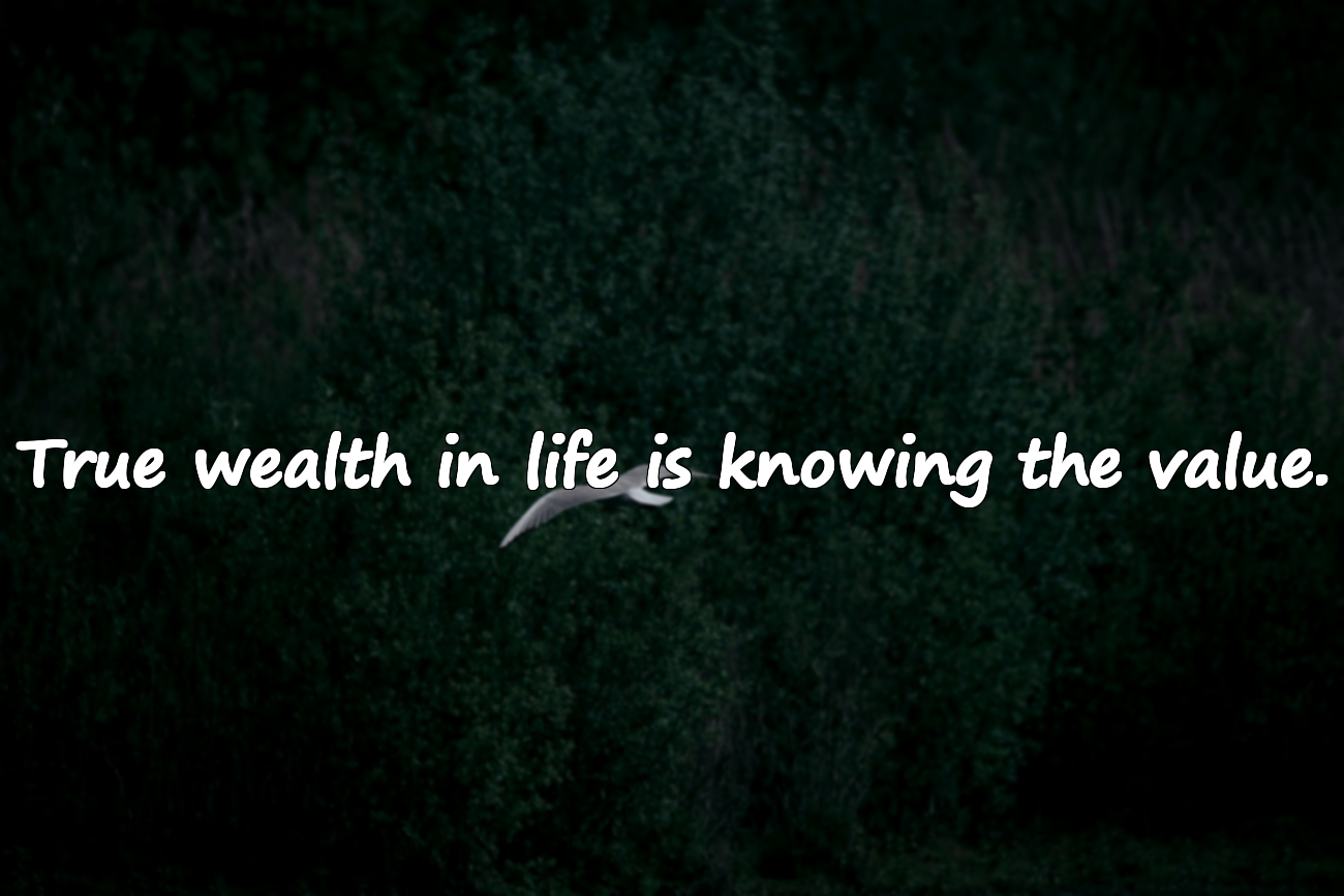 Words About Appreciating Value