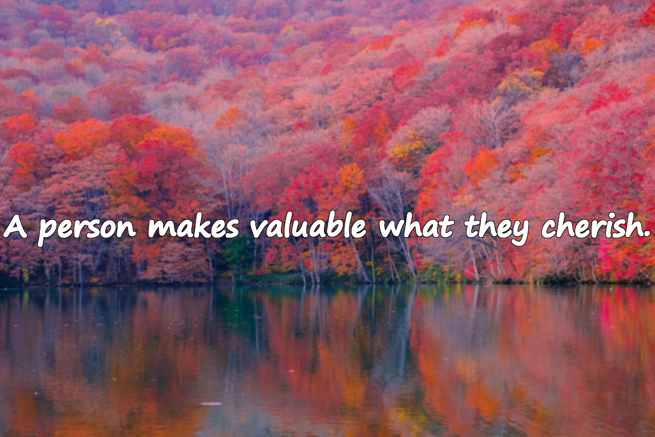 Words About Appreciating Value