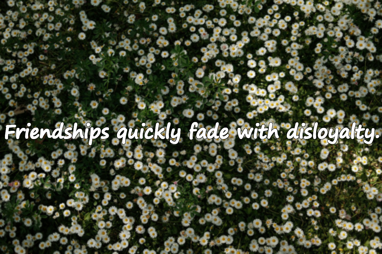 Words About Disloyalty
