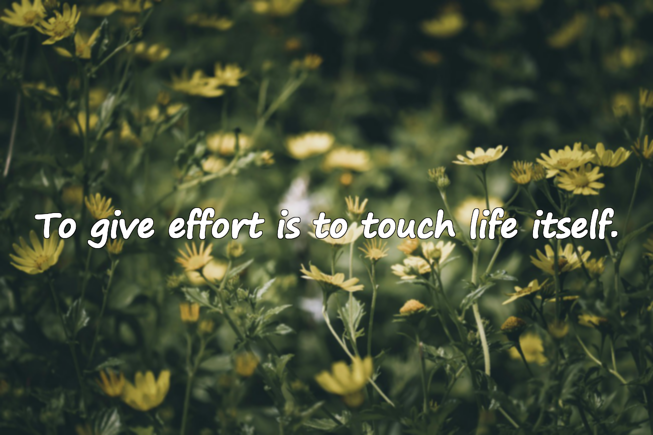 Words About Effort