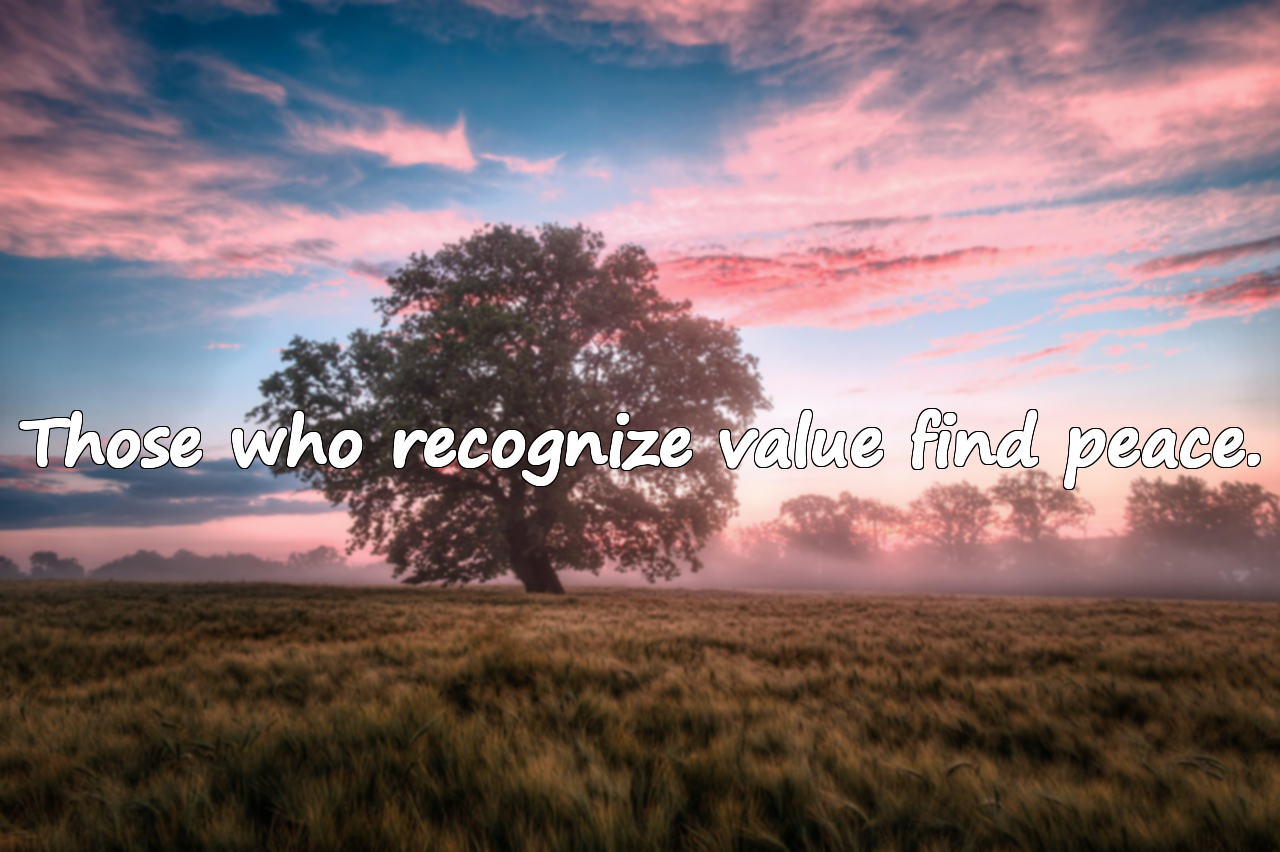 Words About Value