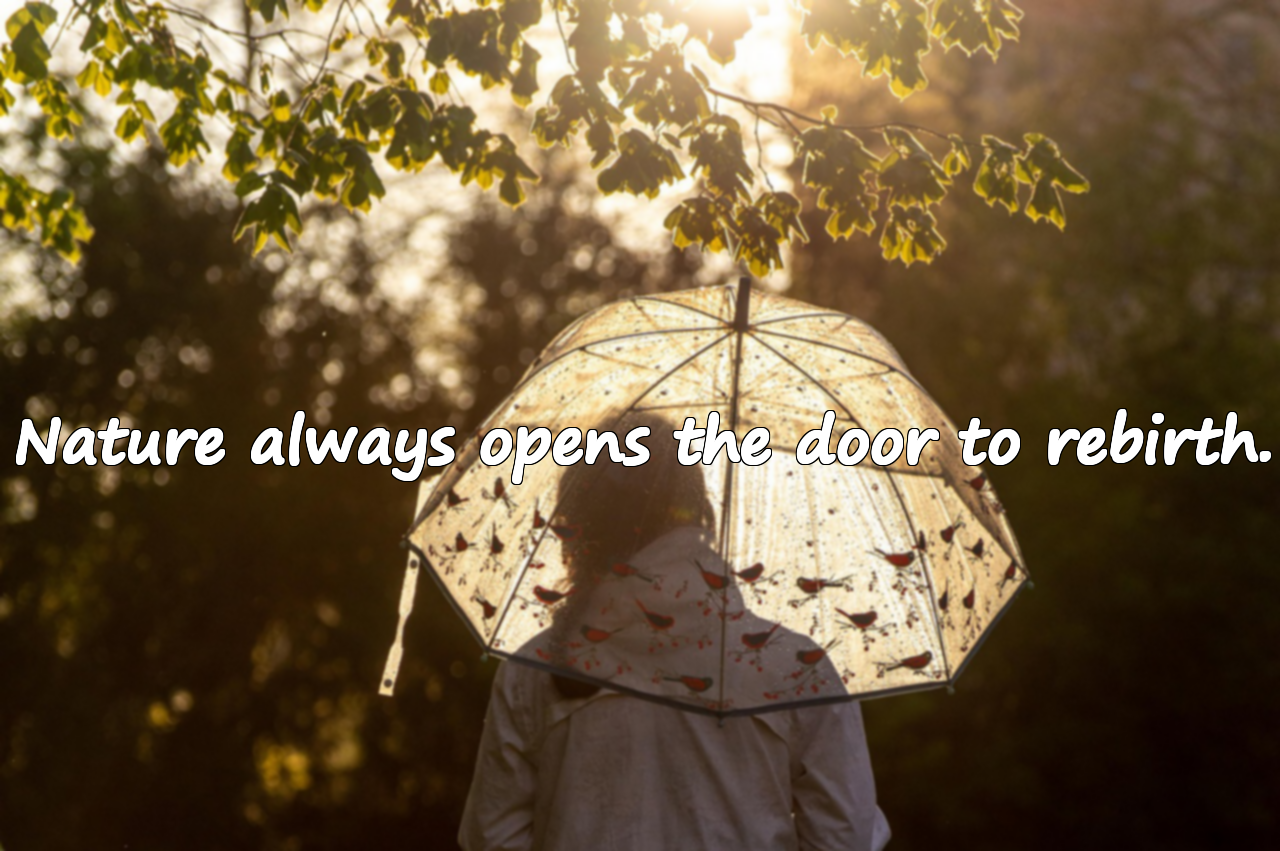 Words about Nature