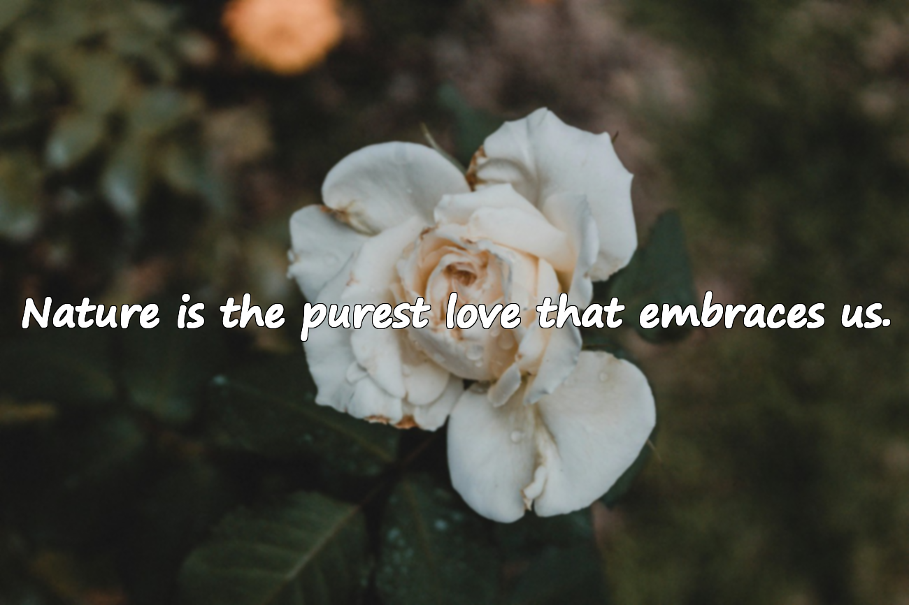 Words about Nature