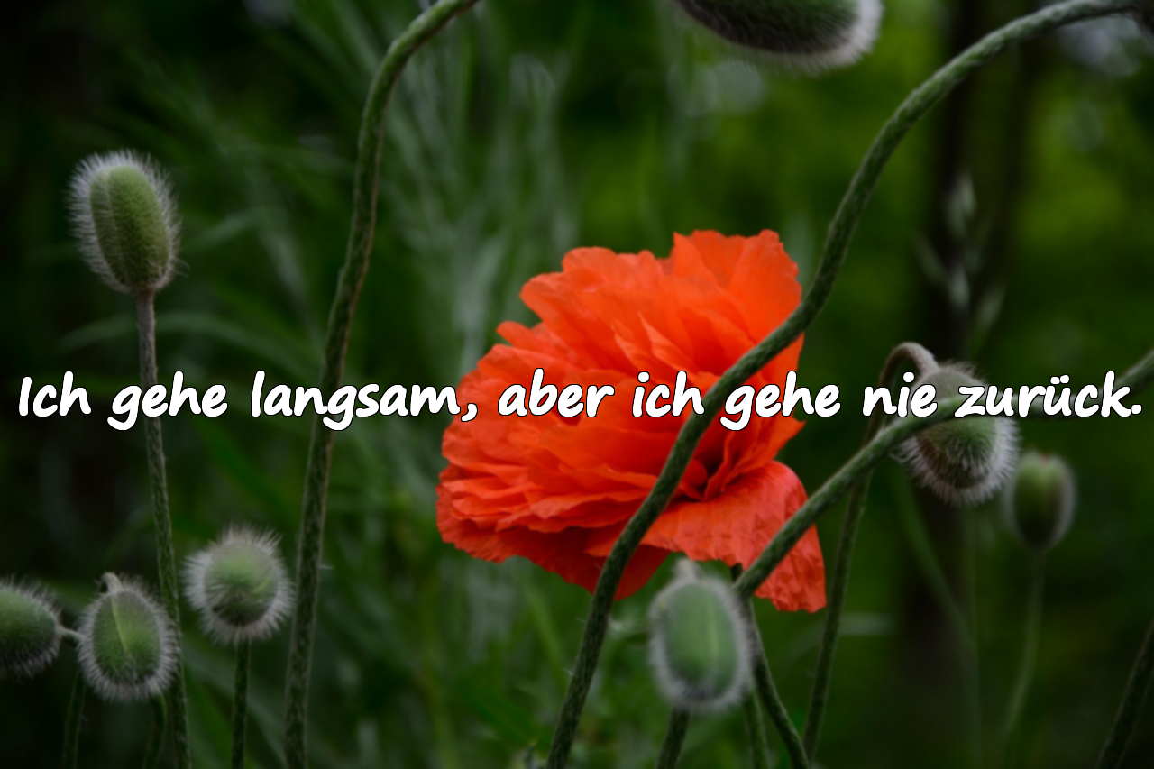 Worte über Charakter