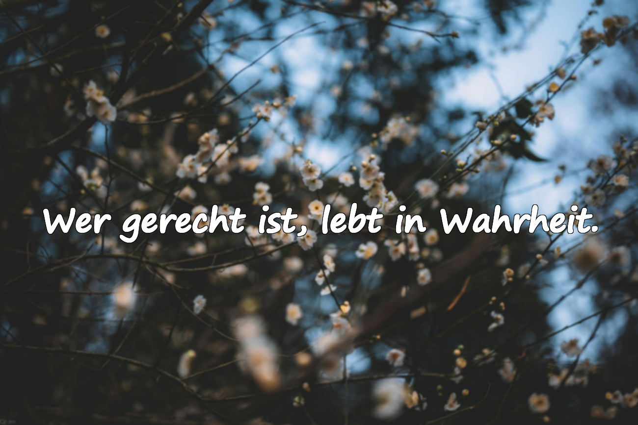 Worte über Gerechtigkeit