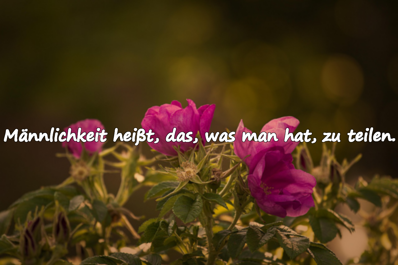 Worte über Männlichkeit / Integrität