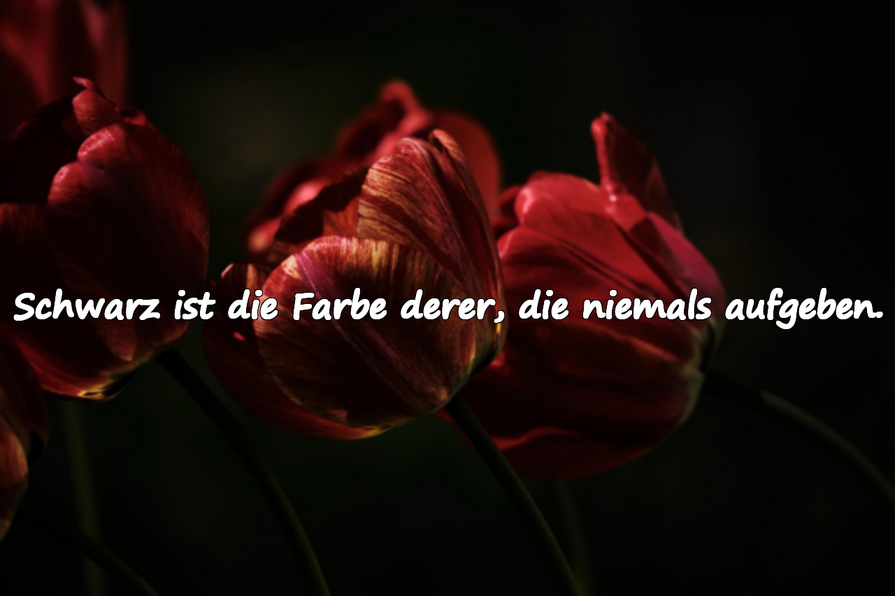 Worte über Schwarz