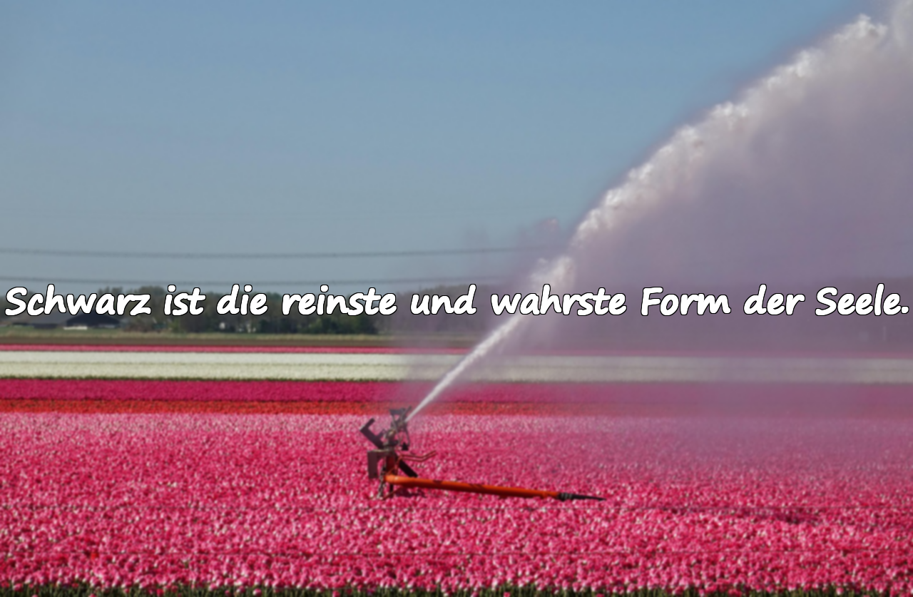 Worte über Schwarz