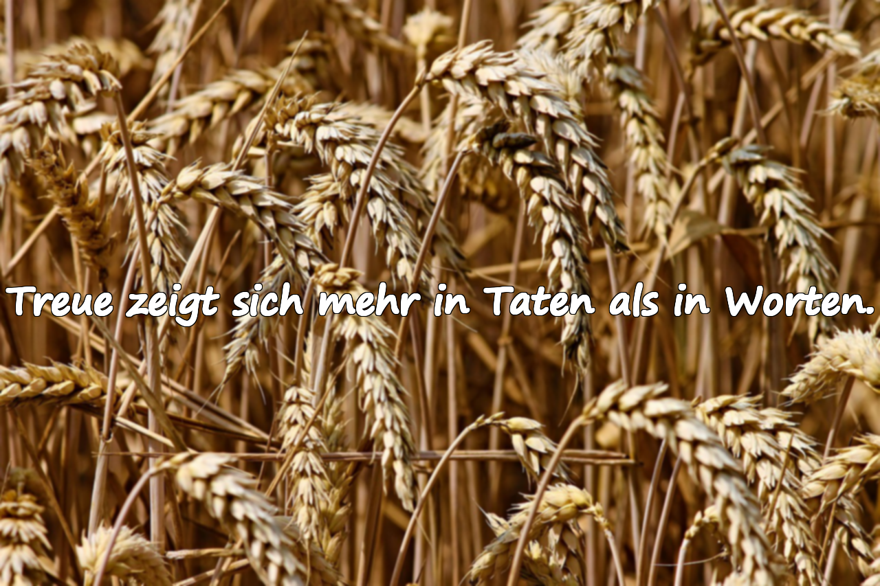 Worte über Treue