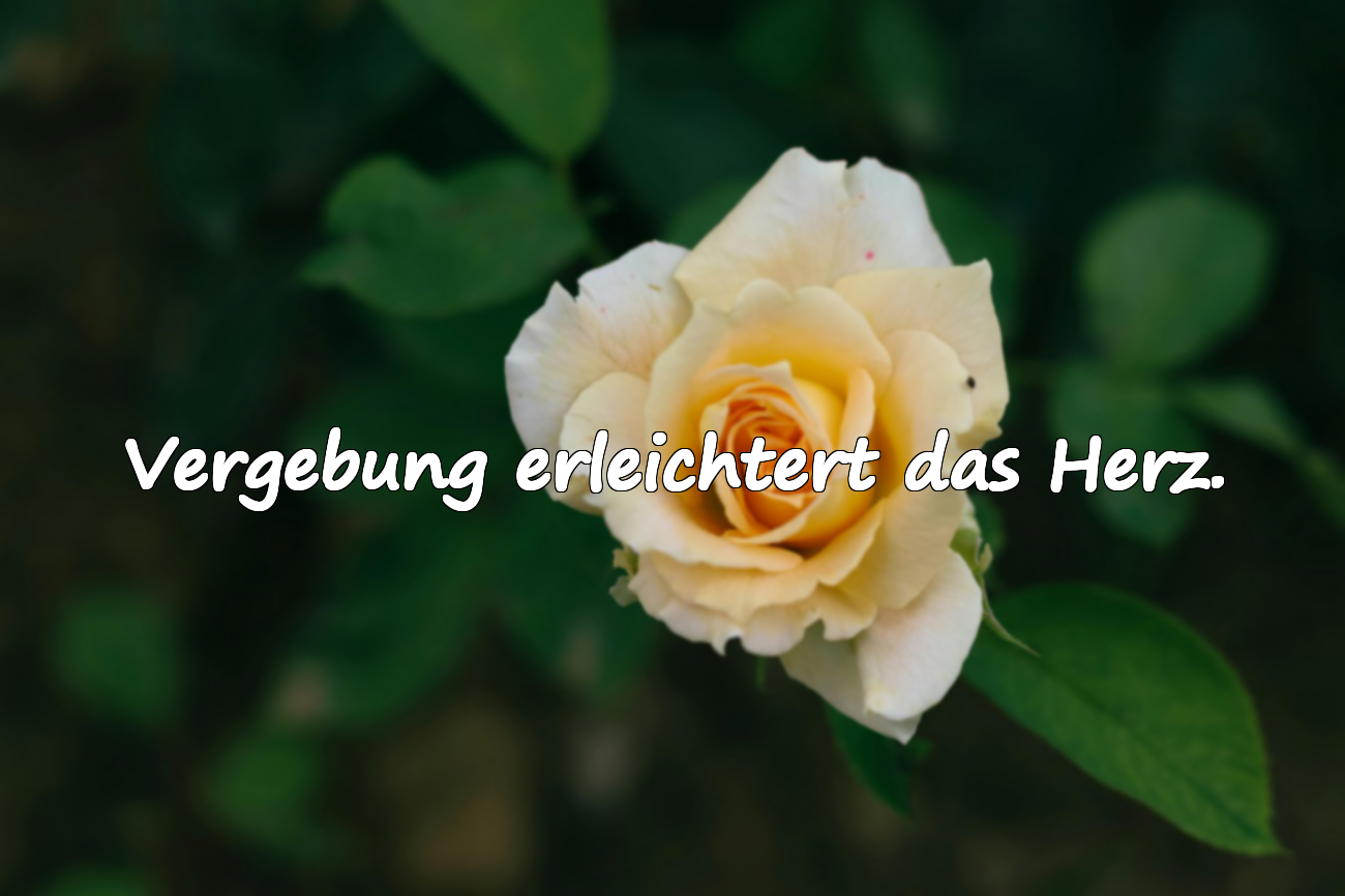 Worte über Vergebung
