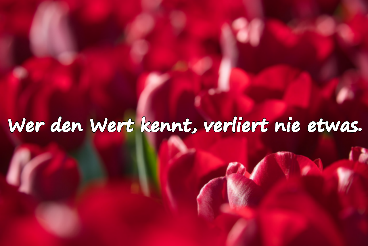 Wer den Wert kennt, verliert nie etwas.