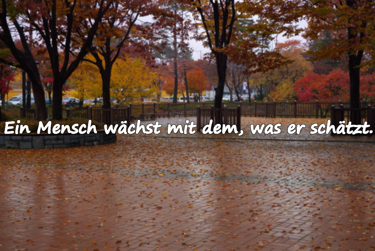 Ein Mensch wächst mit dem, was er schätzt.