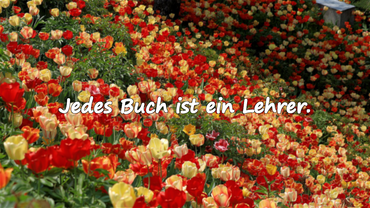 Jedes Buch ist ein Lehrer.
