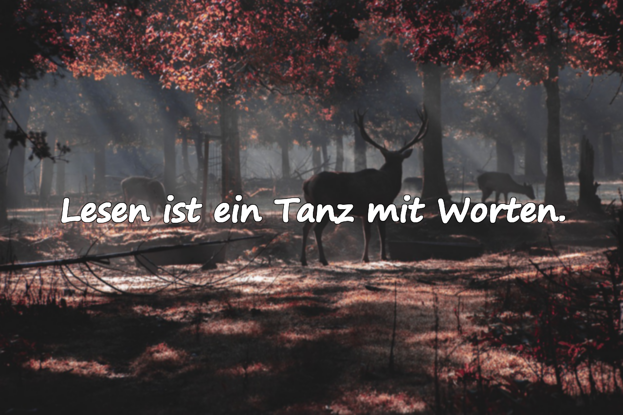Worte über das Lesen von Büchern