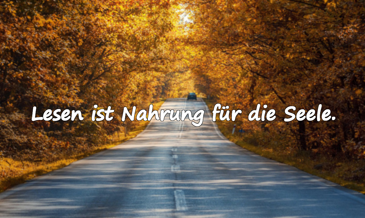 Worte über das Lesen von Büchern
