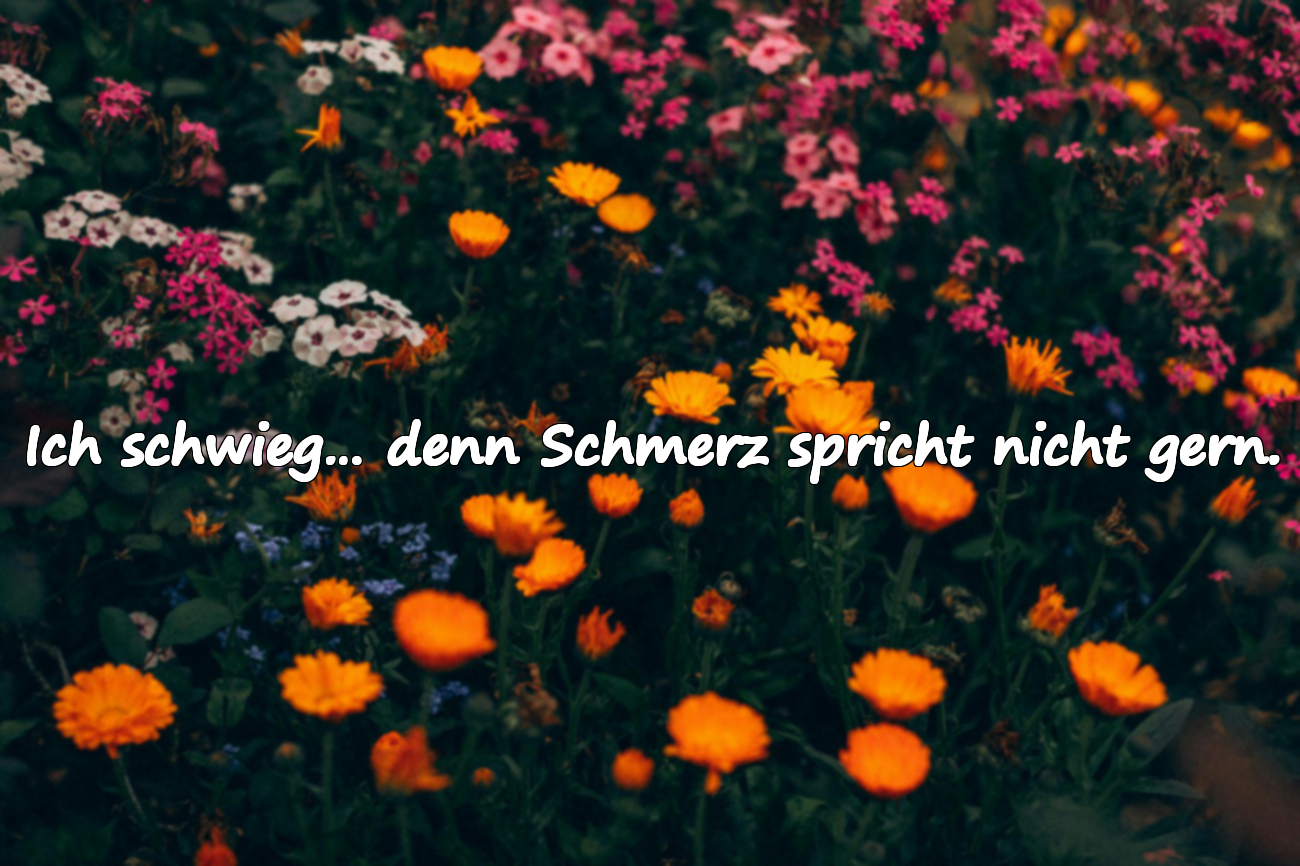 Ich schwieg… denn Schmerz spricht nicht gern.